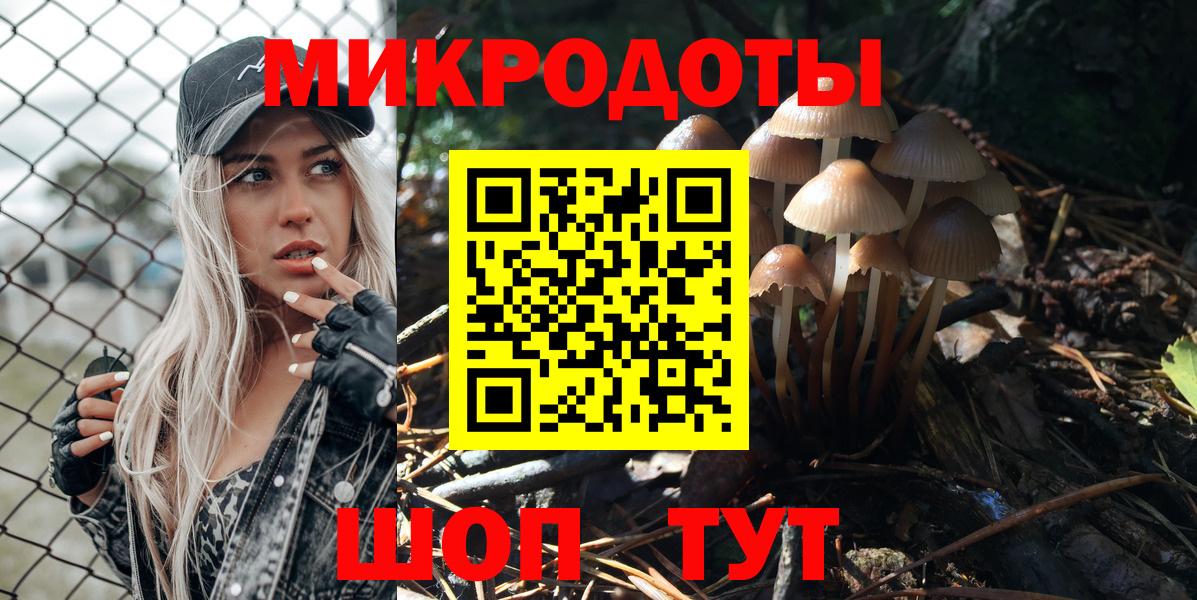 Галлюциногенные грибы Psilocybine cubensis  Вход с VPN  Благовещенск 